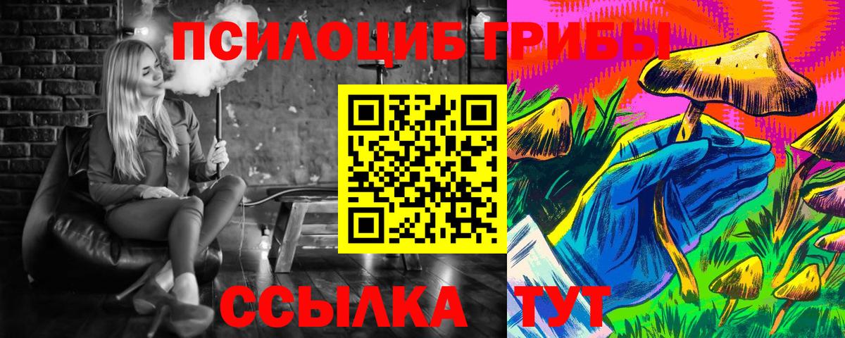 Псилоцибиновые грибы Cubensis Вольск