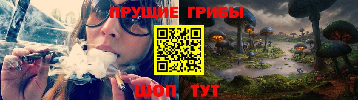 Вольск  Галлюциногенные грибы MAGIC MUSHROOMS  Вход с VPN 